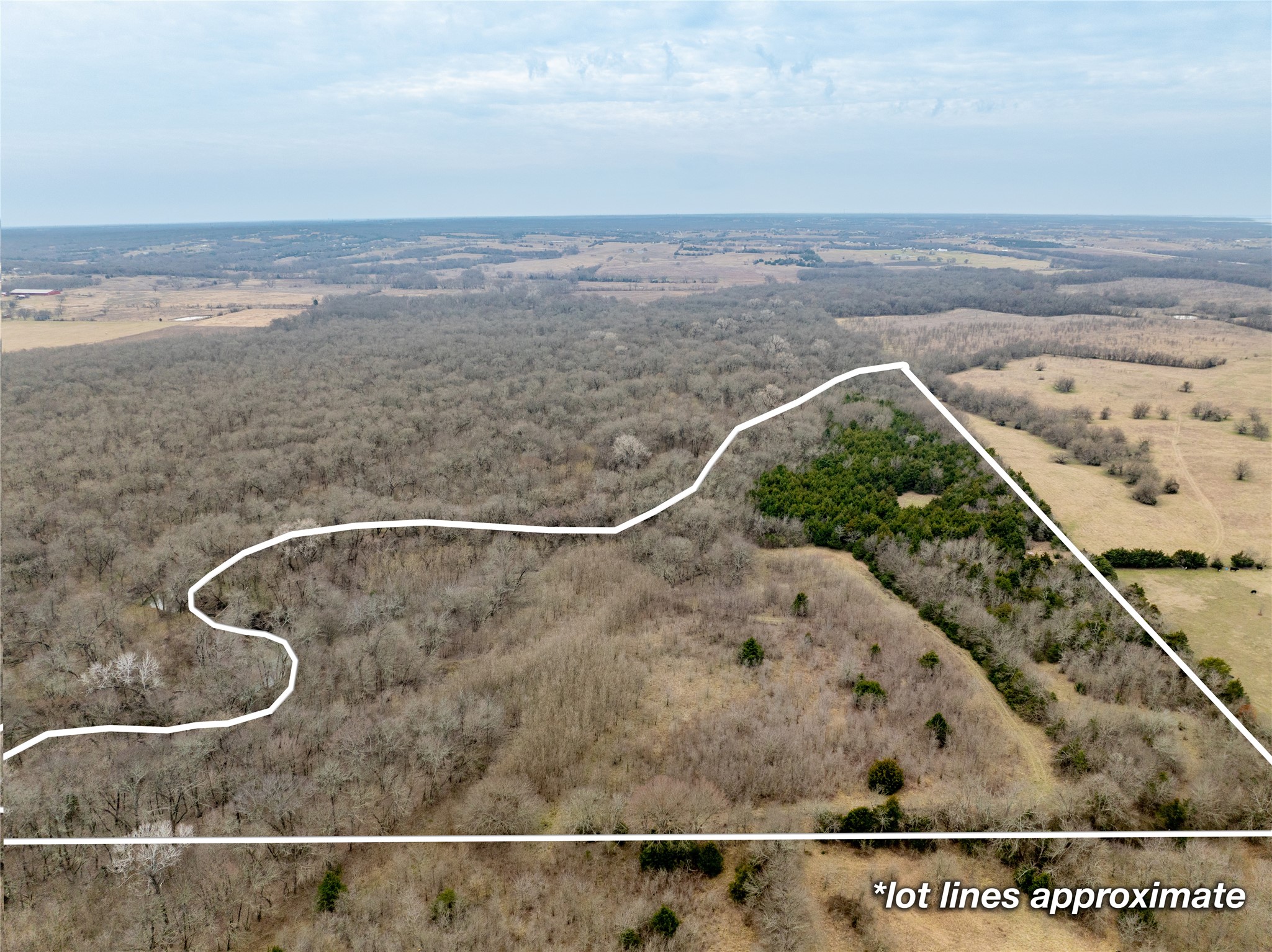 Tbd County Road 618 Farmersville TX 75442