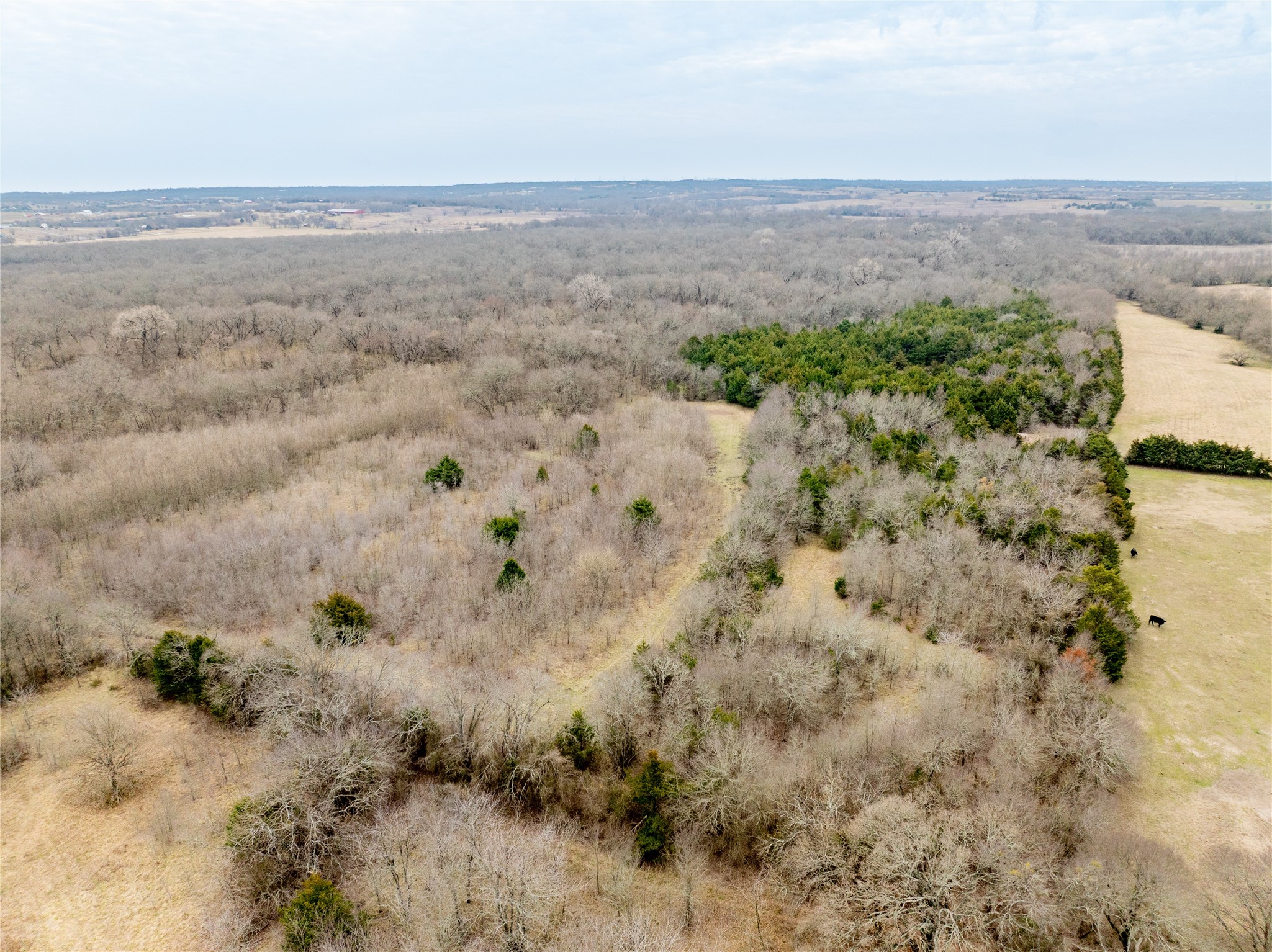 Tbd County Road 618 Farmersville TX 75442