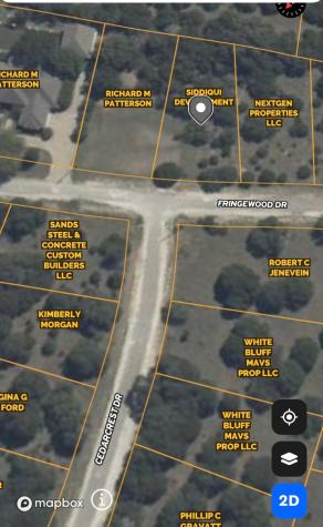 43198 Fringewood Drive Whitney TX 76692