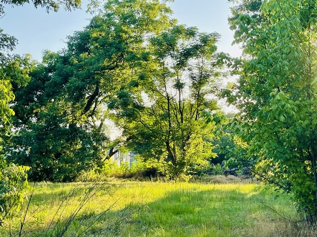 628 S Johnson Street Mineola TX 75773