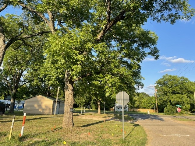 628 S Johnson Street Mineola TX 75773