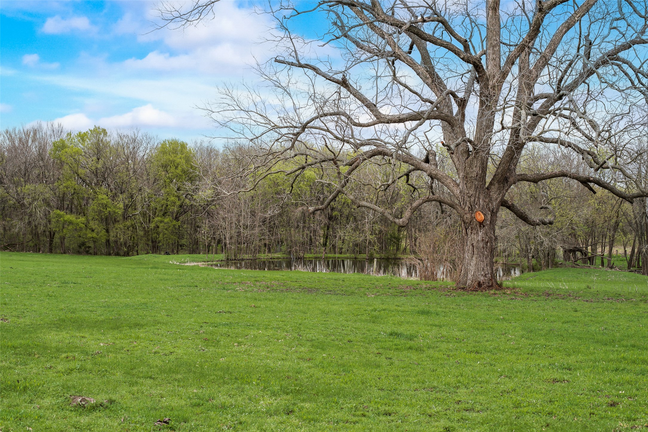 11655 County Road 483 Lavon TX 75166