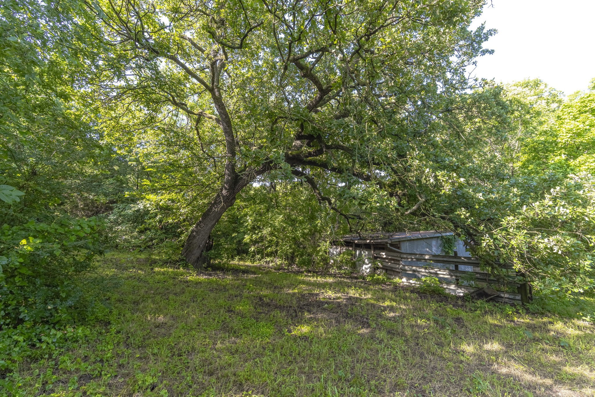 400 W Oak Street Mansfield TX 76063
