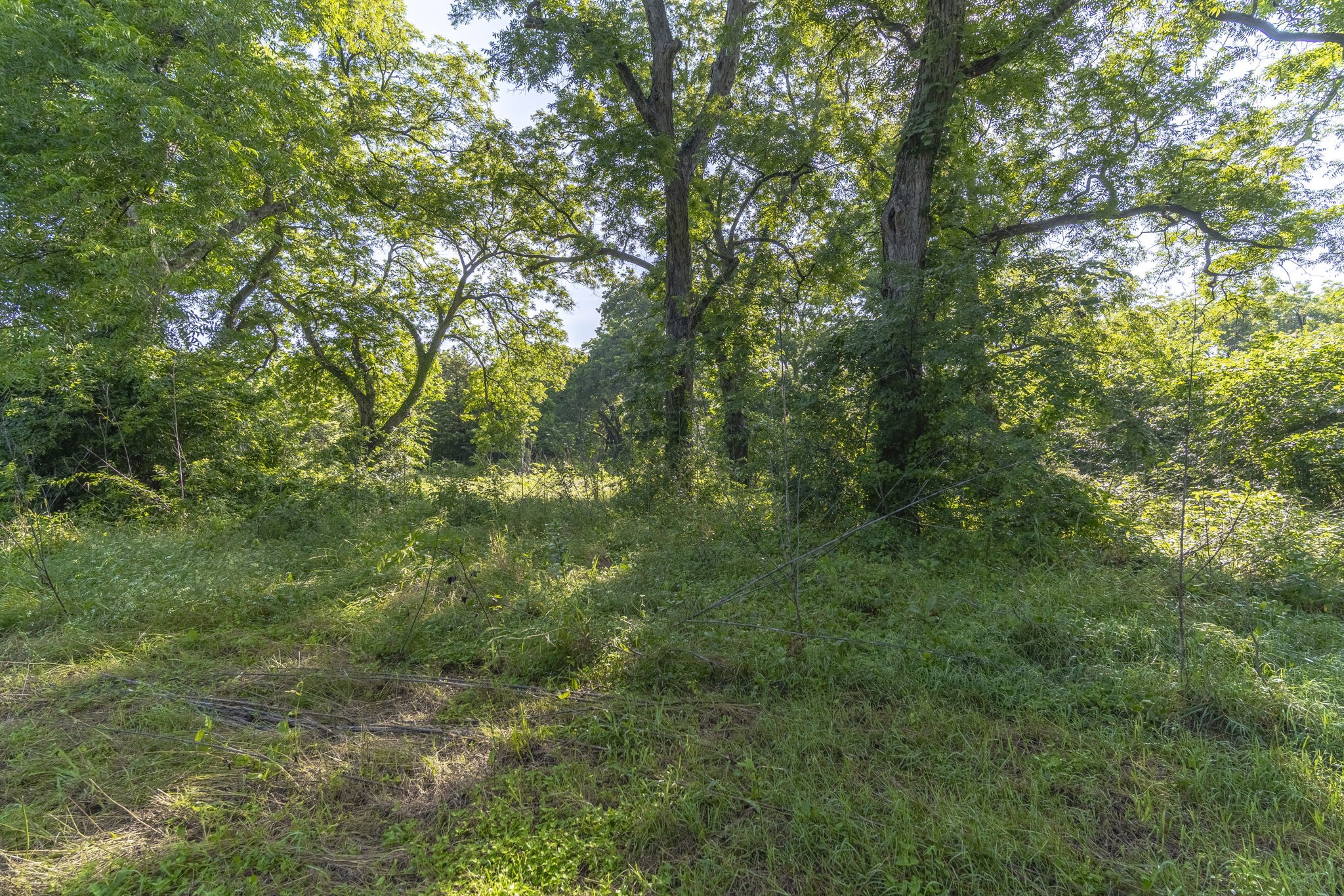 400 W Oak Street Mansfield TX 76063