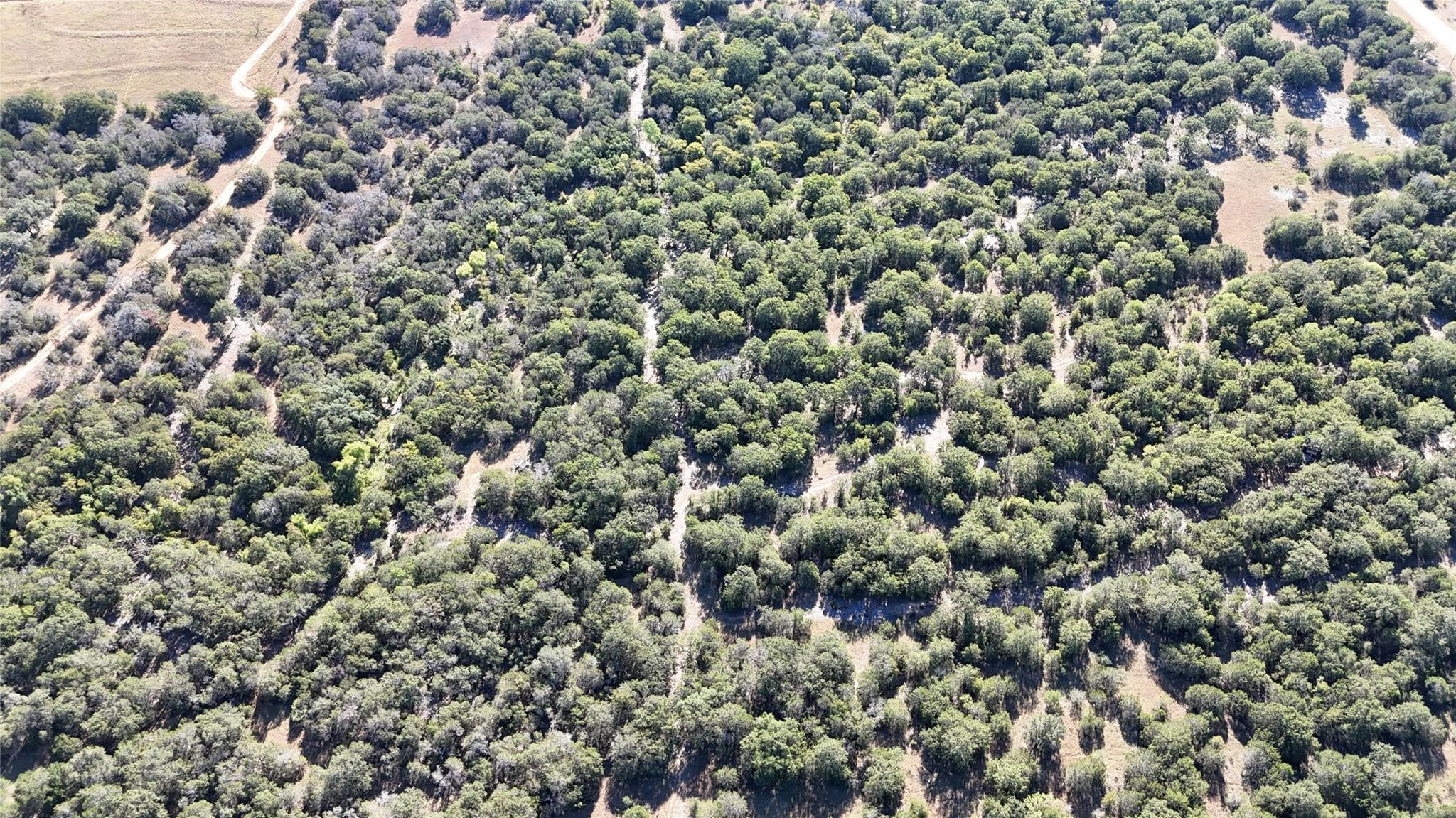 Lot 110 Davenport Road Palo Pinto TX 76484