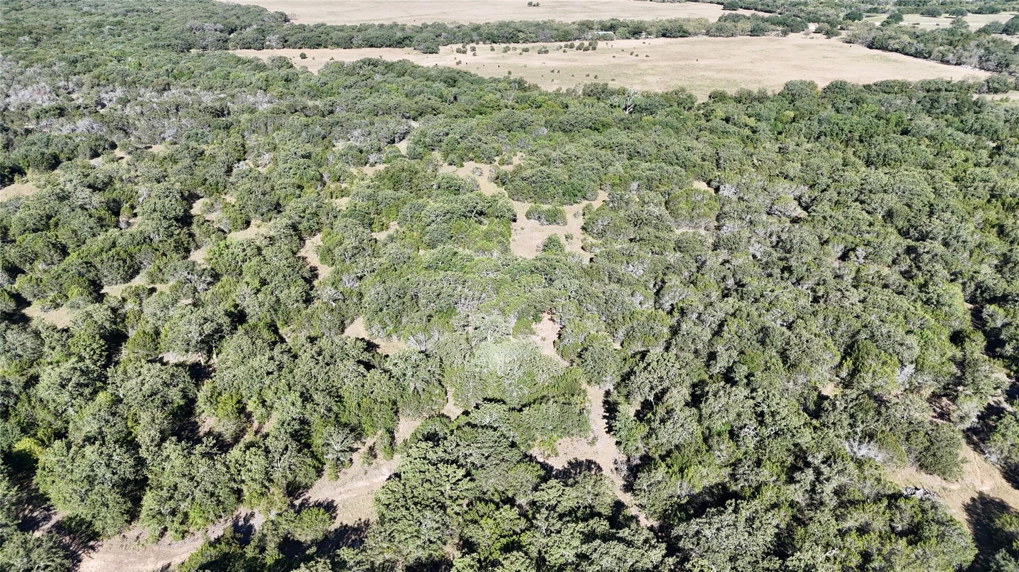 Lot 110 Davenport Road Palo Pinto TX 76484