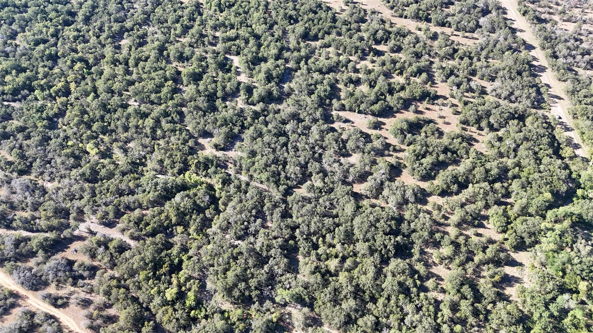 Lot 110 Davenport Road Palo Pinto TX 76484