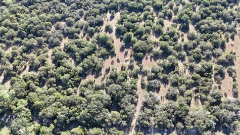 Lot 110 Davenport Road Palo Pinto TX 76484