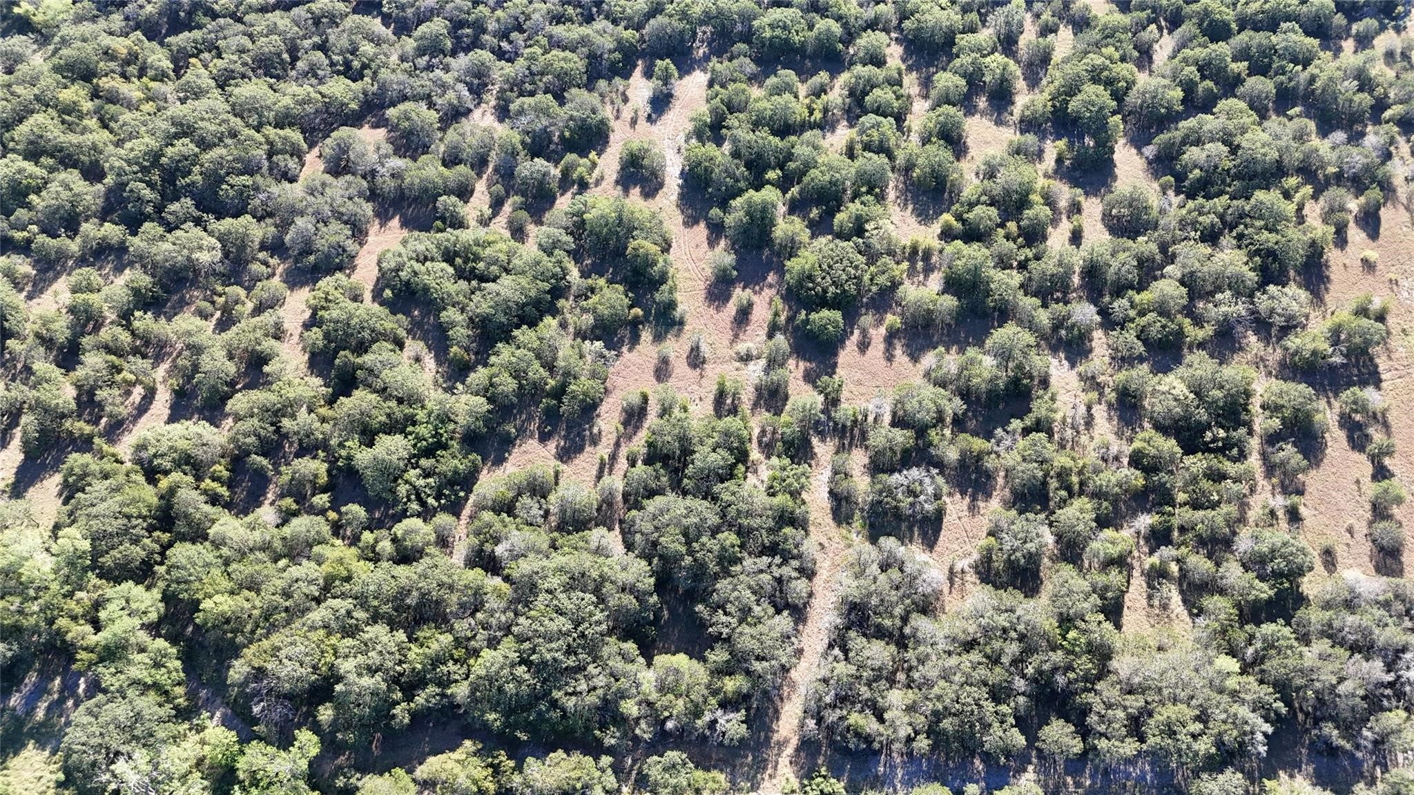 Lot 110 Davenport Road Palo Pinto TX 76484