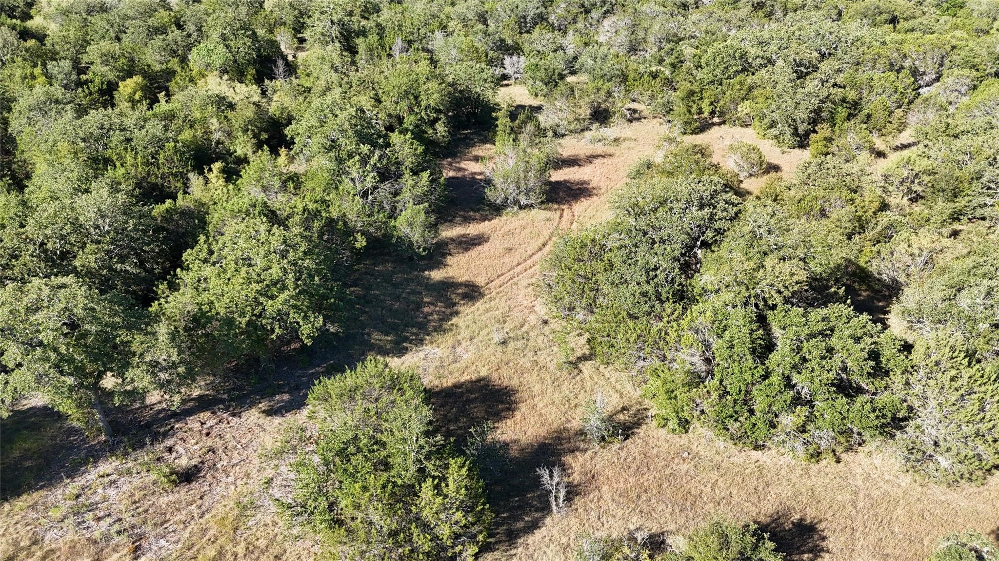 Lot 110 Davenport Road Palo Pinto TX 76484
