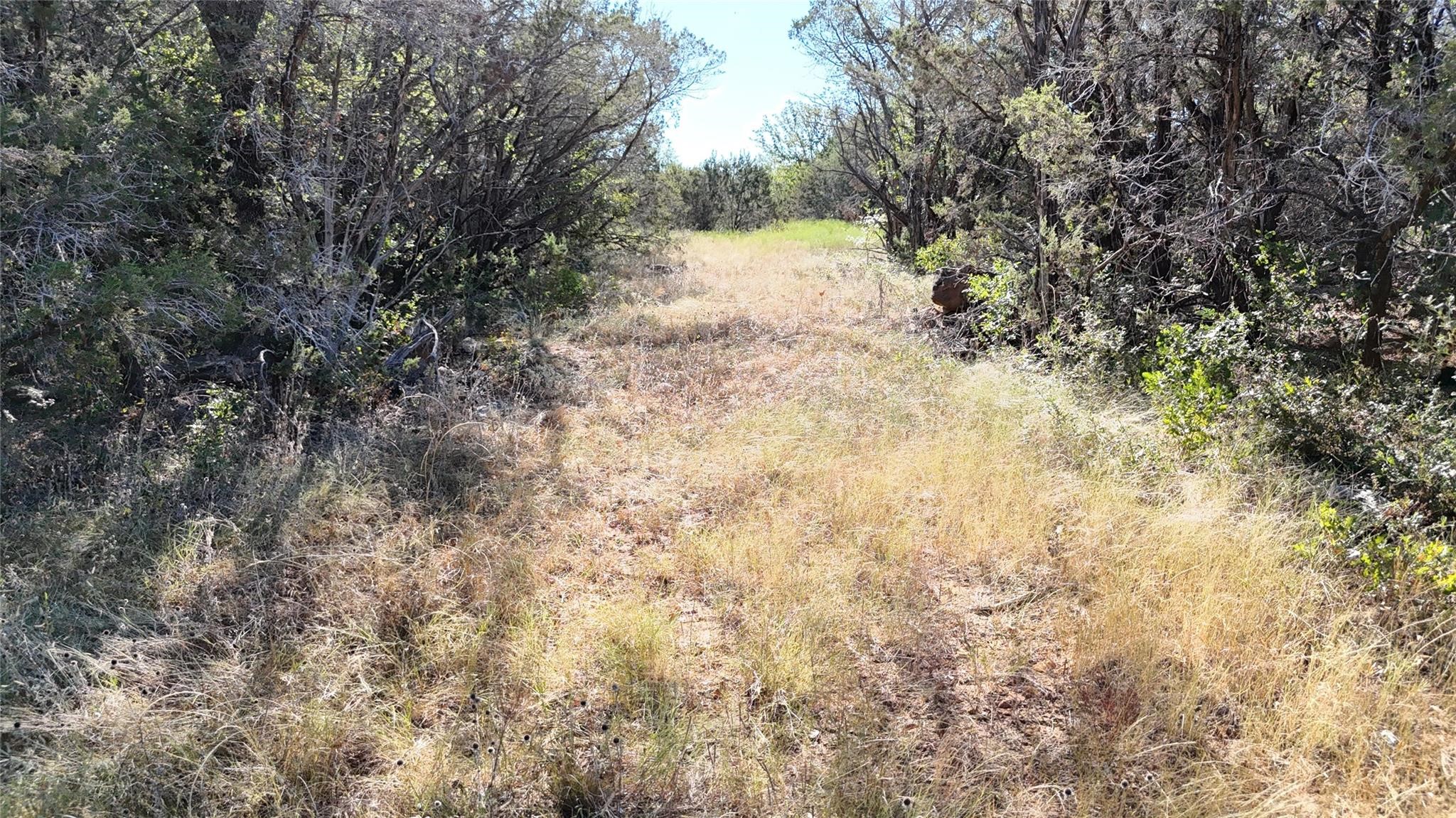 Lot 110 Davenport Road Palo Pinto TX 76484
