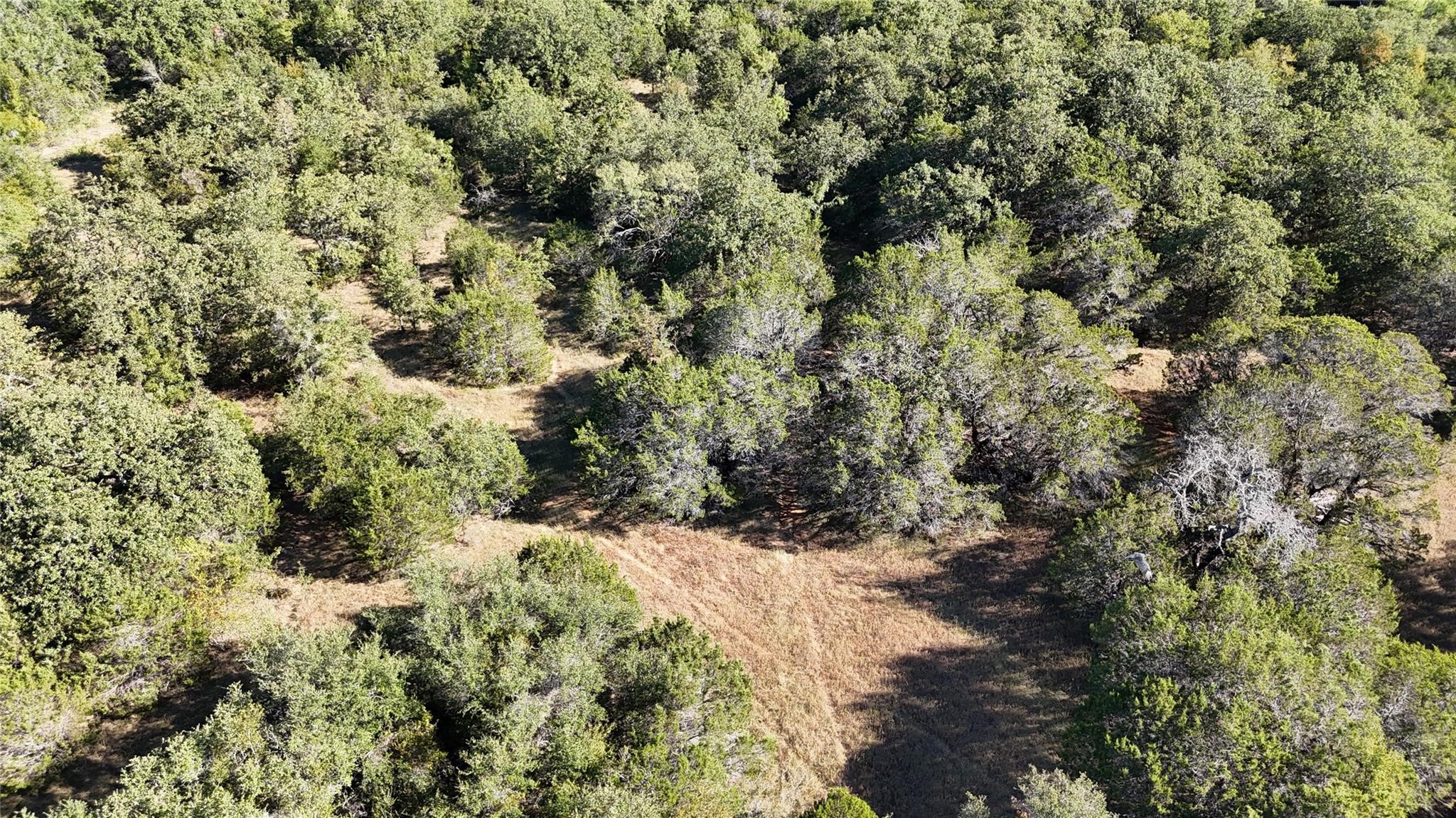 Lot 110 Davenport Road Palo Pinto TX 76484