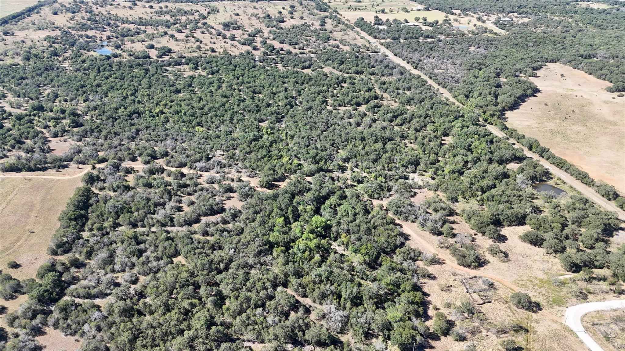 Lot 110 Davenport Road Palo Pinto TX 76484