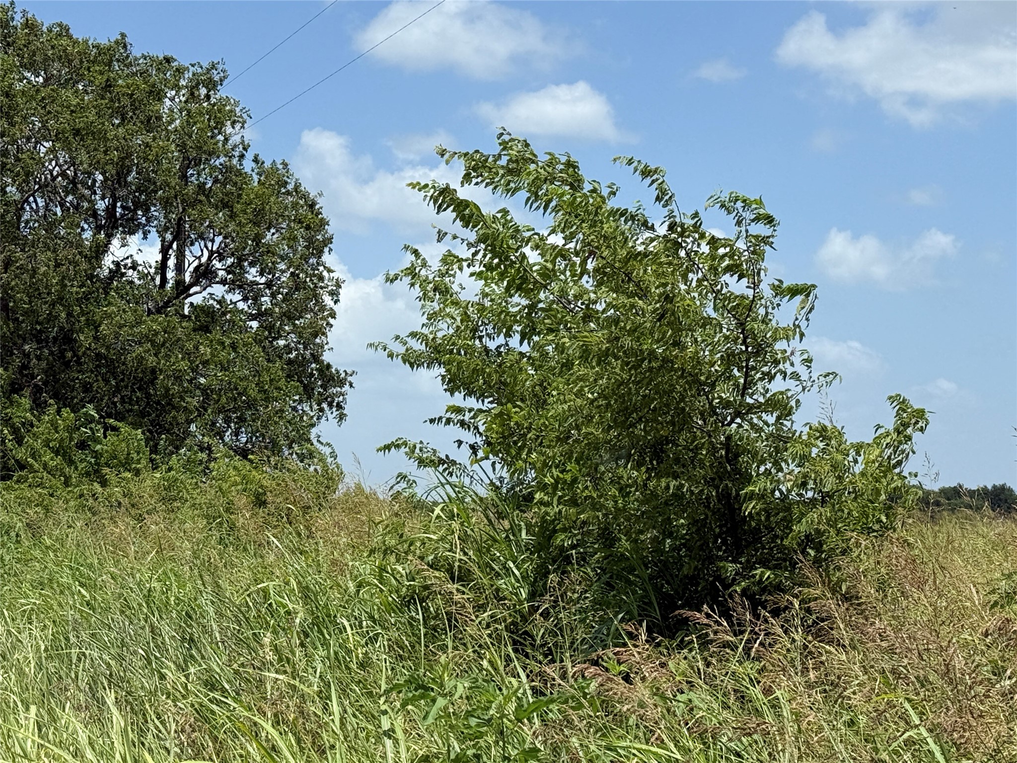 Abs A10172 D Clark Abst Tract 7-3 10.01 Acres Corsicana TX 75110