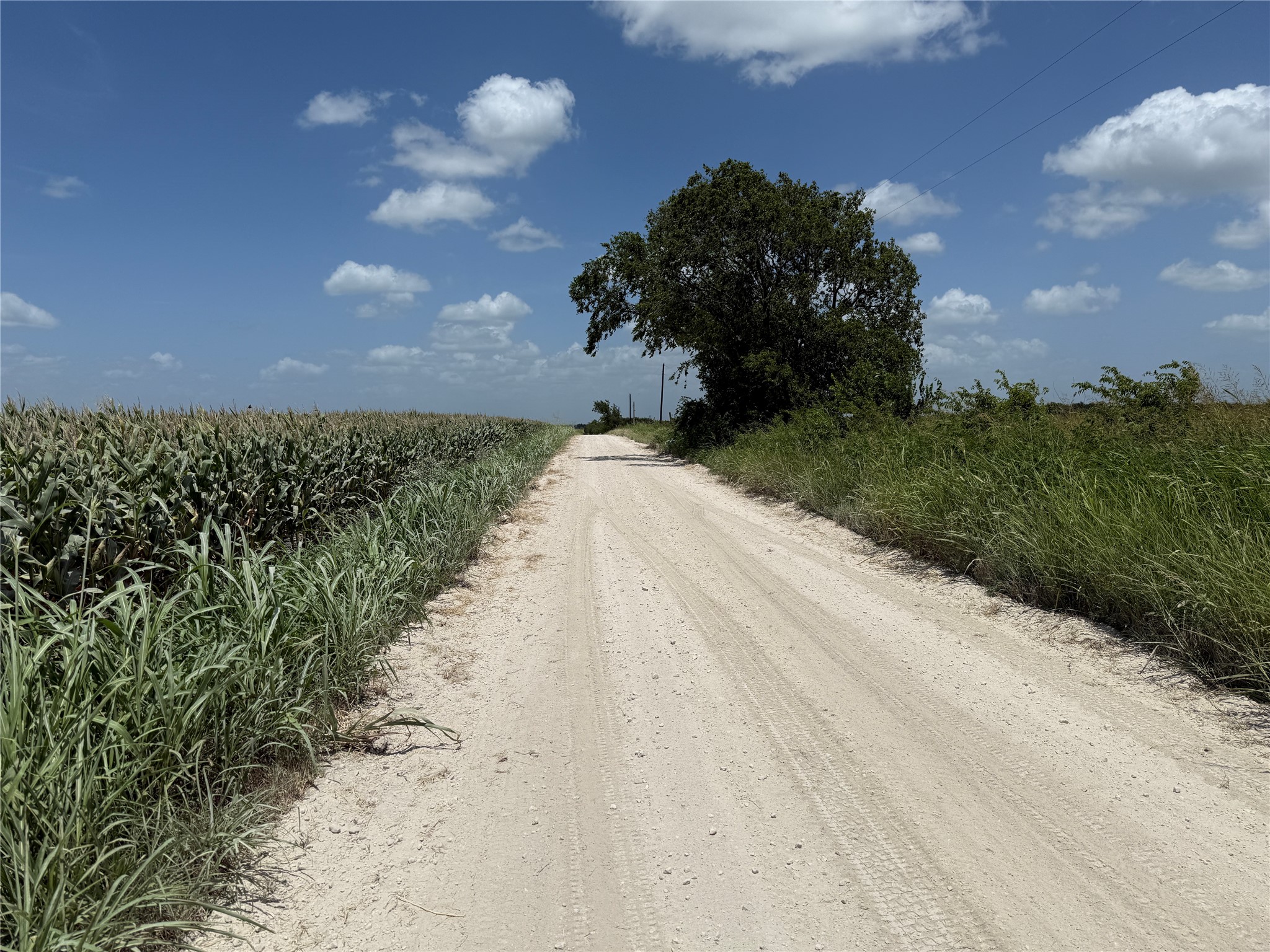 Abs A10172 D Clark Abst Tract 7-3 10.01 Acres Corsicana TX 75110