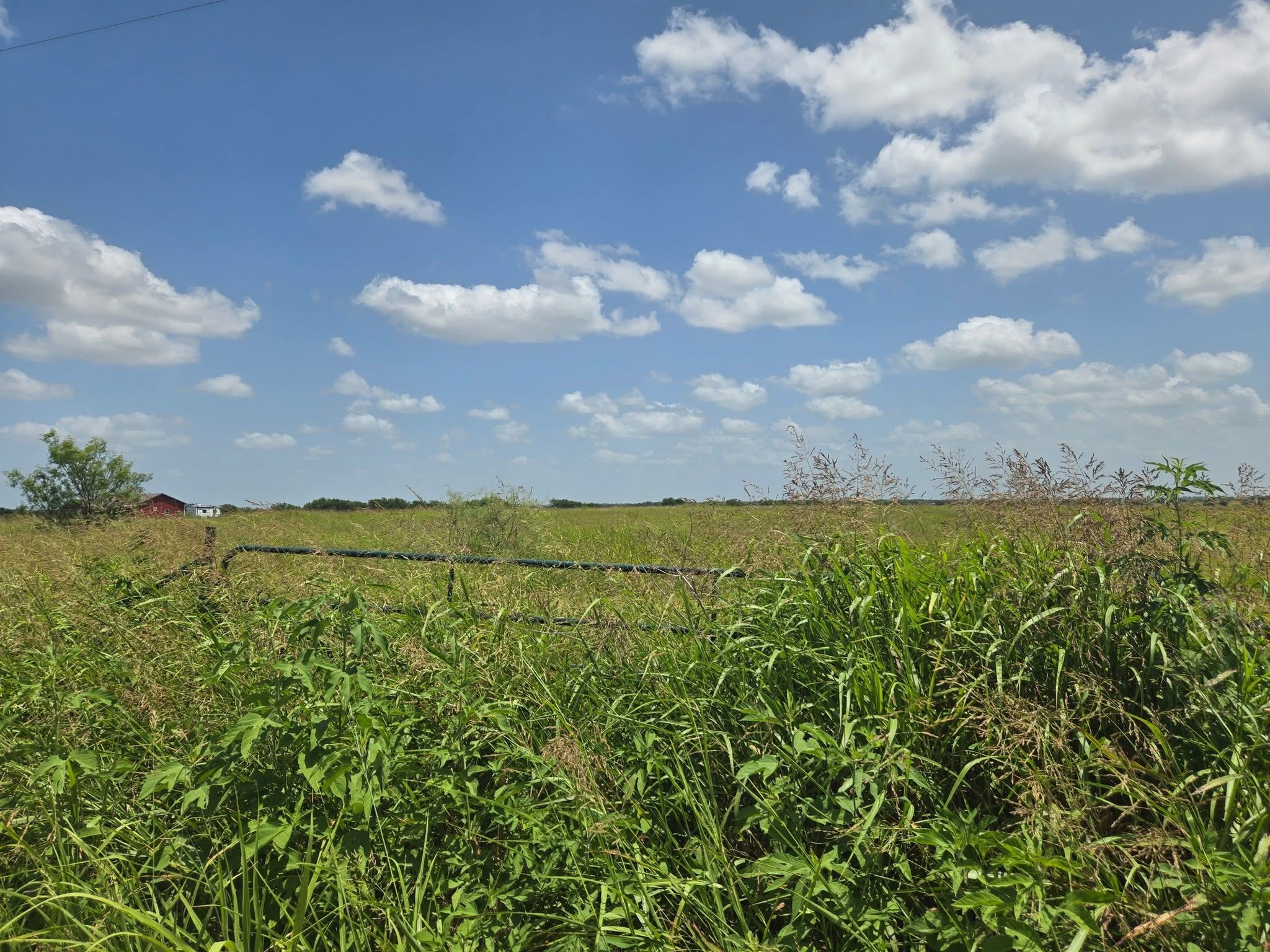 Abs A10172 D Clark Abst Tract 7-3 10.01 Acres Corsicana TX 75110