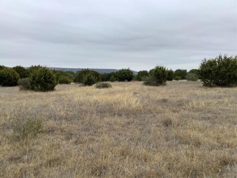 1090 Us Highway 183 S Lometa TX 76853