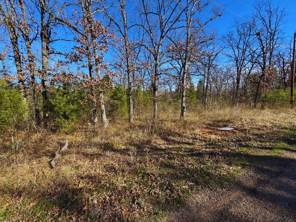 118 Kingswood Drive Mabank TX 75156