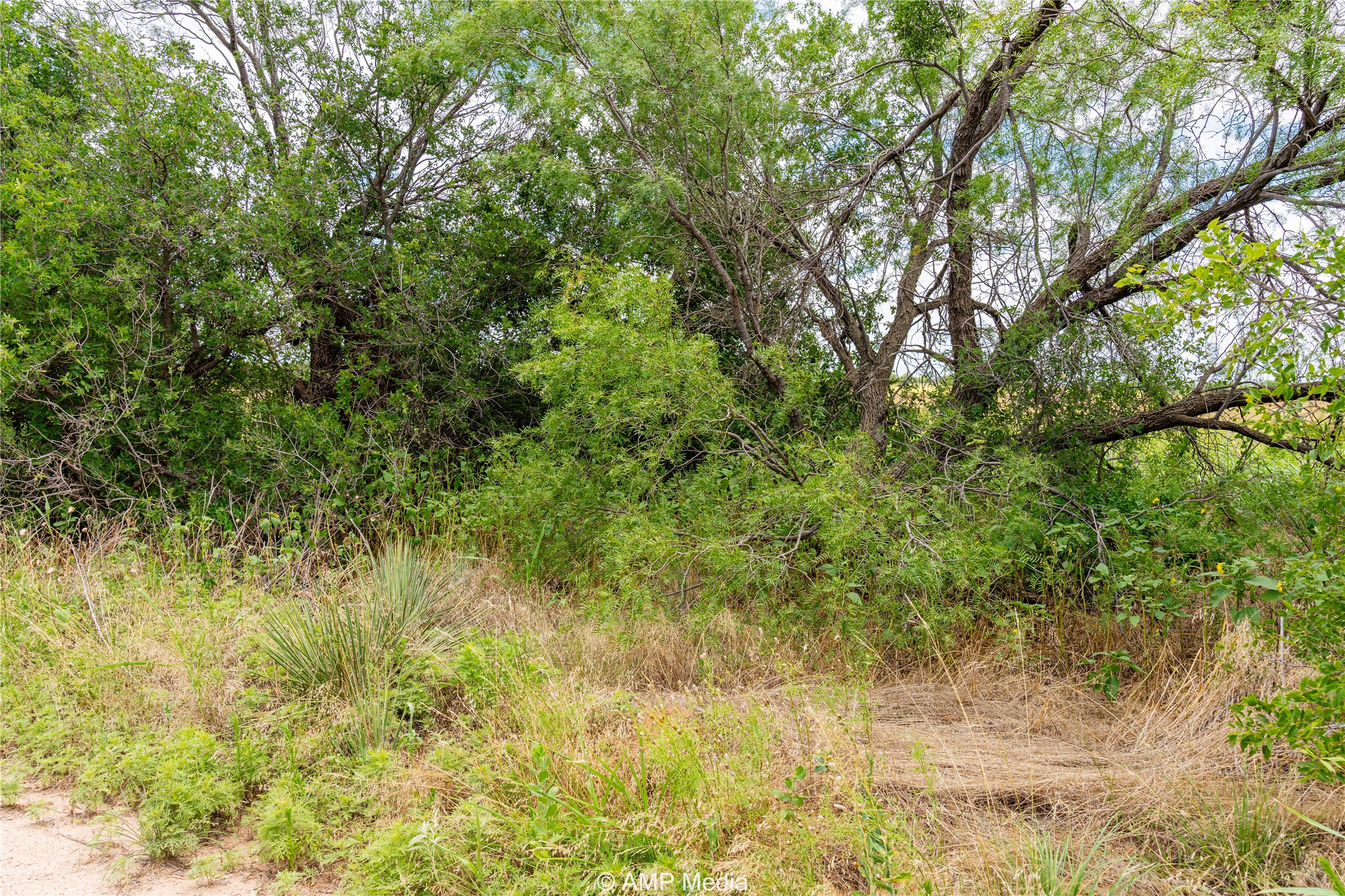 Tbd Private Lane Hawley TX 79525