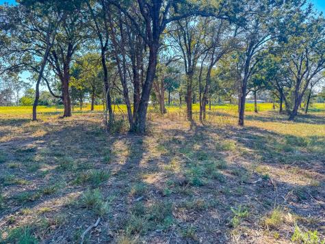Lot 3 Bordeaux Lane Corsicana TX 75109