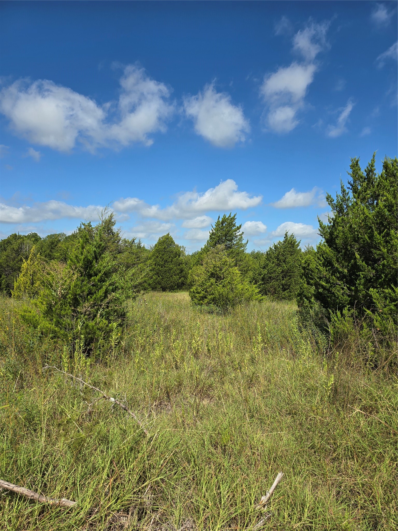 3694 County Road 1103 Celeste TX 75423