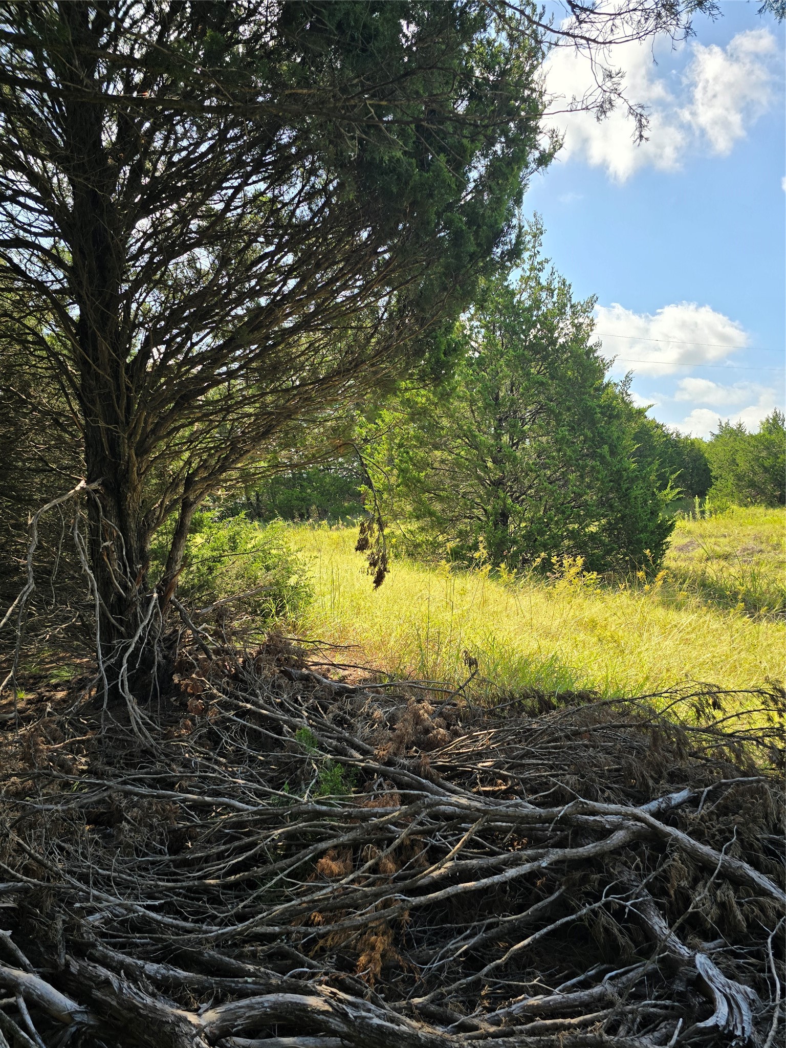 3694 County Road 1103 Celeste TX 75423