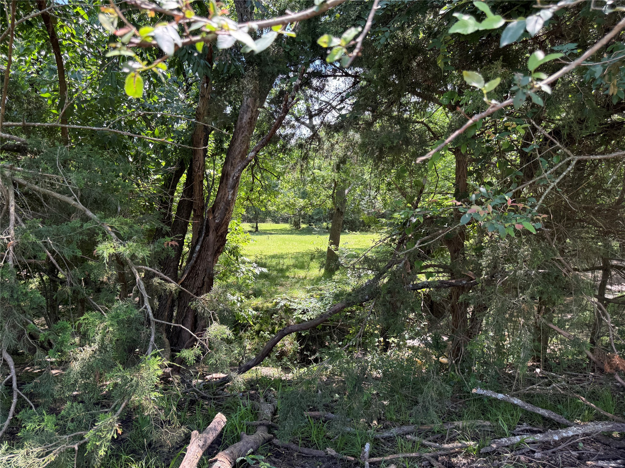 553-A Fm 499 Cumby TX 75433