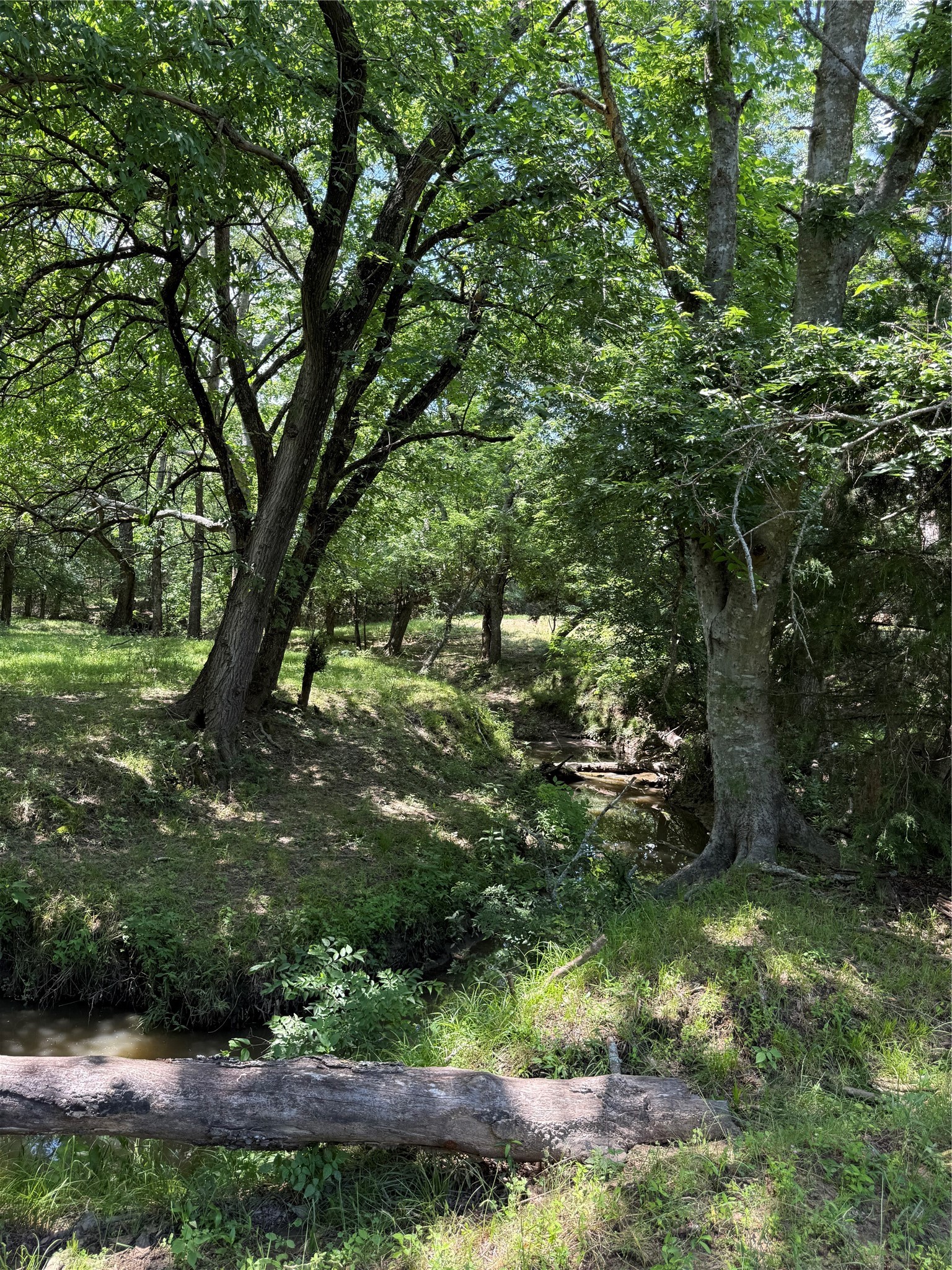 553-A Fm 499 Cumby TX 75433