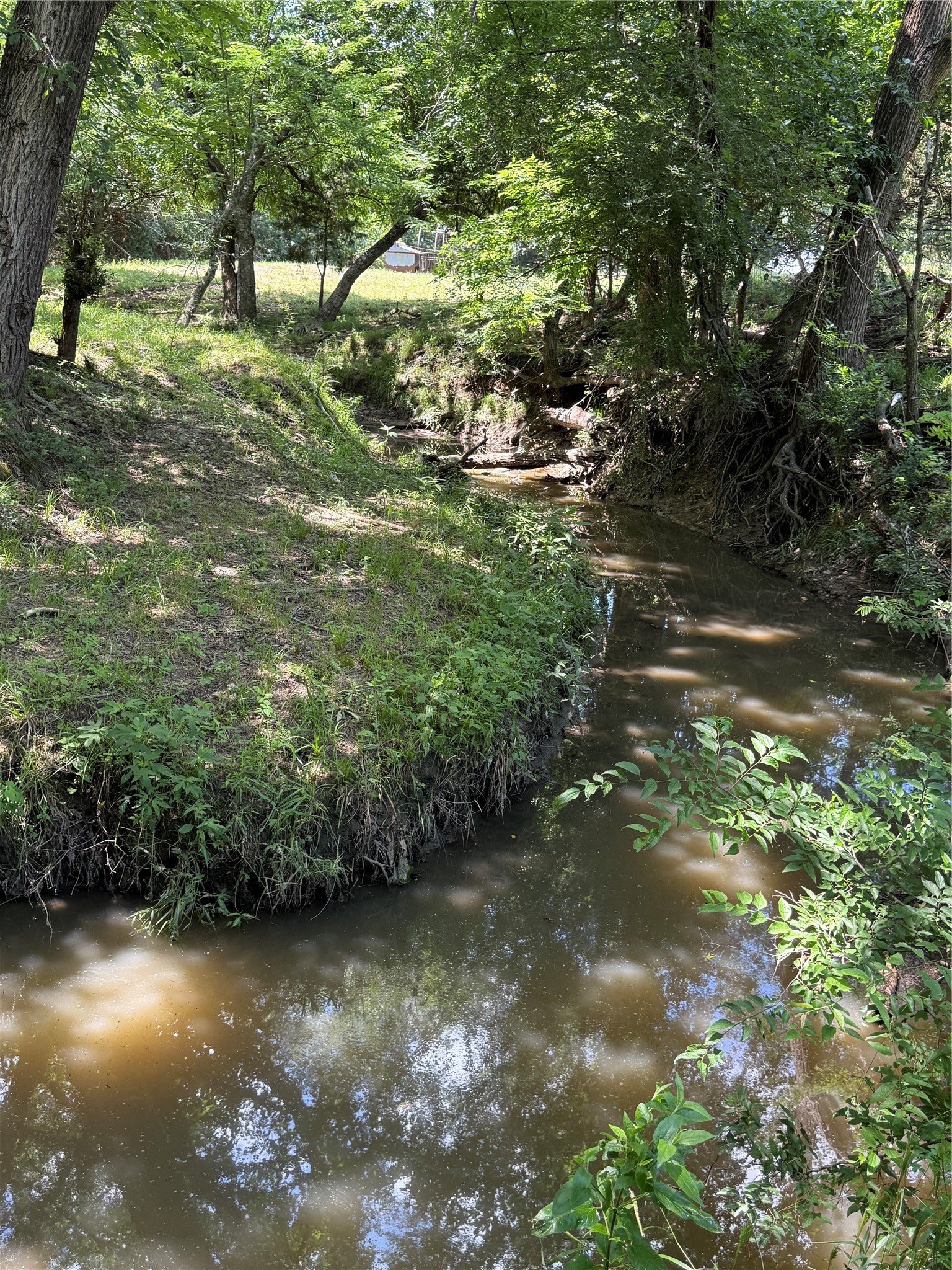 553-A Fm 499 Cumby TX 75433