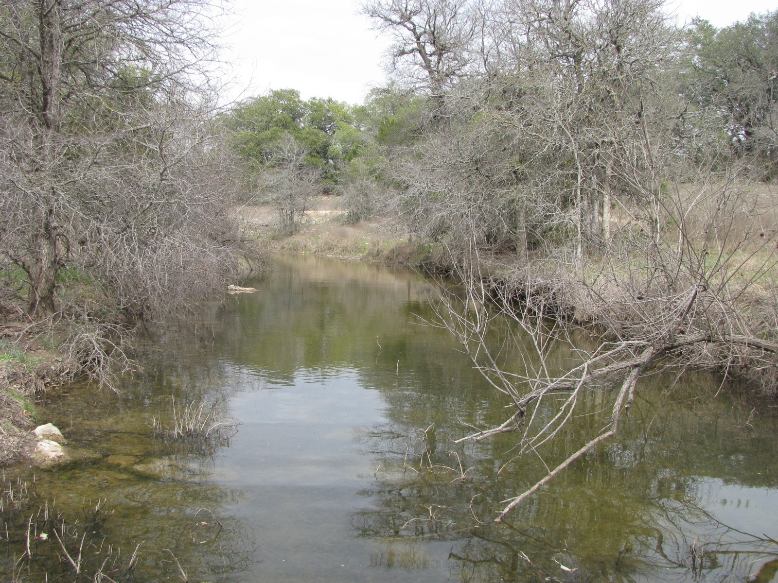 135 Acres Tbd Harmon Road Copperas Cove TX 76522