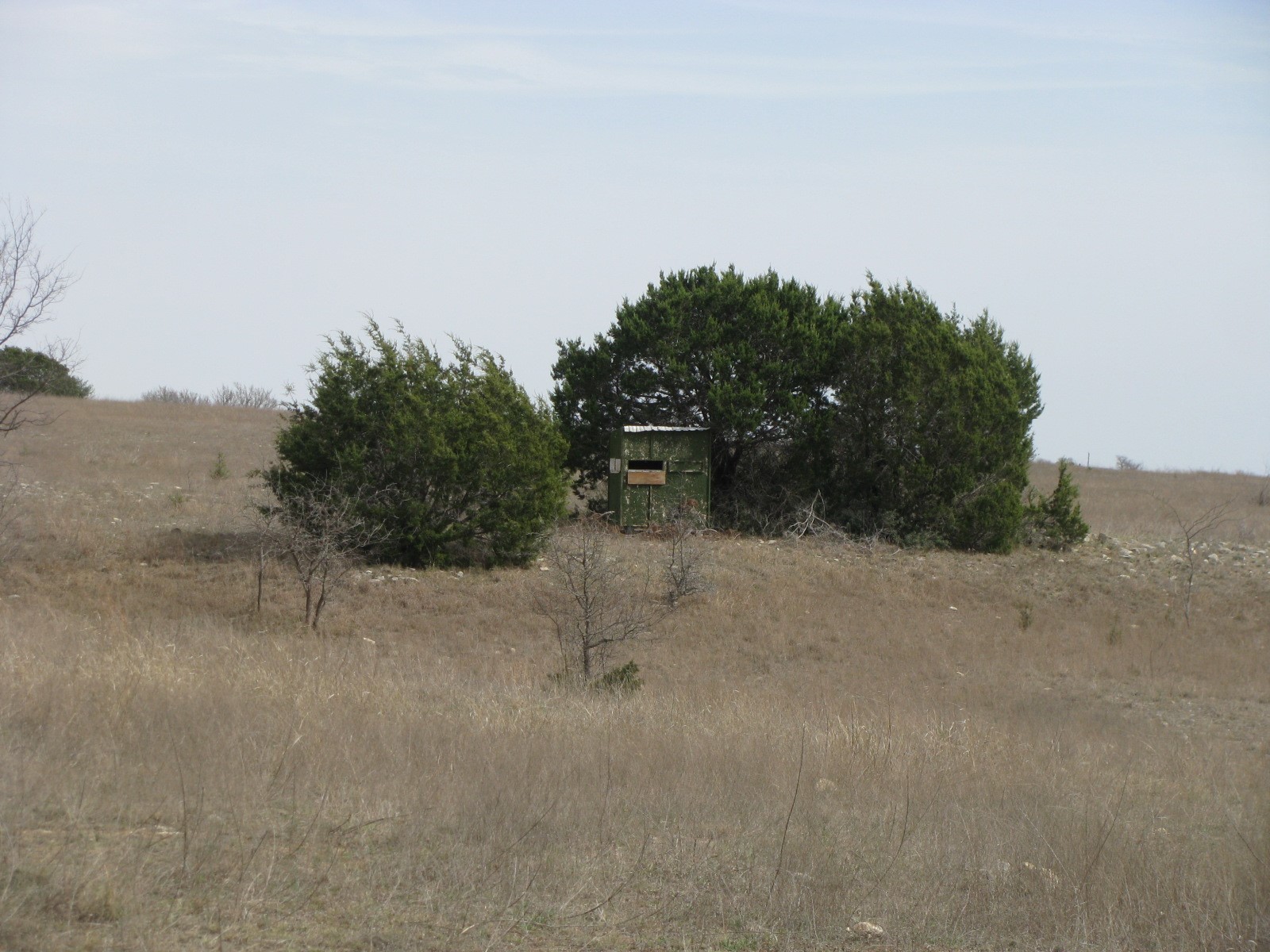 135 Acres Tbd Harmon Road Copperas Cove TX 76522