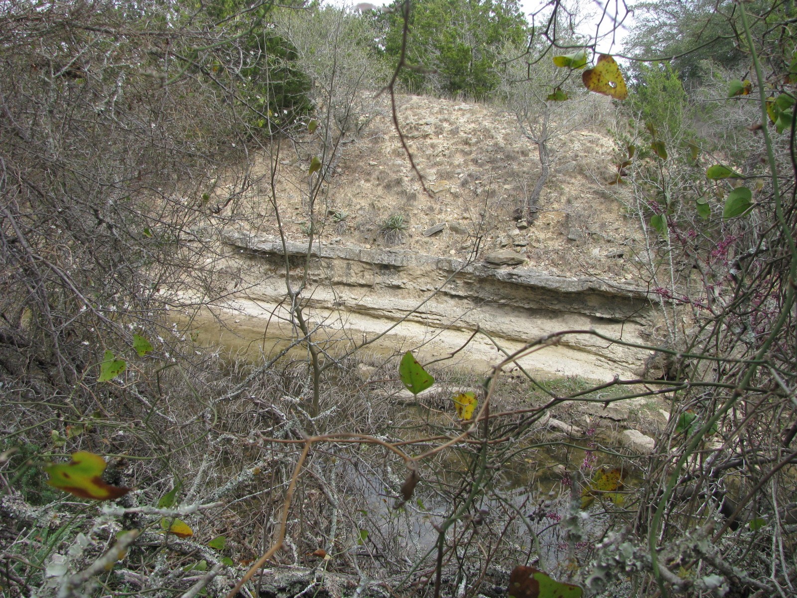 135 Acres Tbd Harmon Road Copperas Cove TX 76522