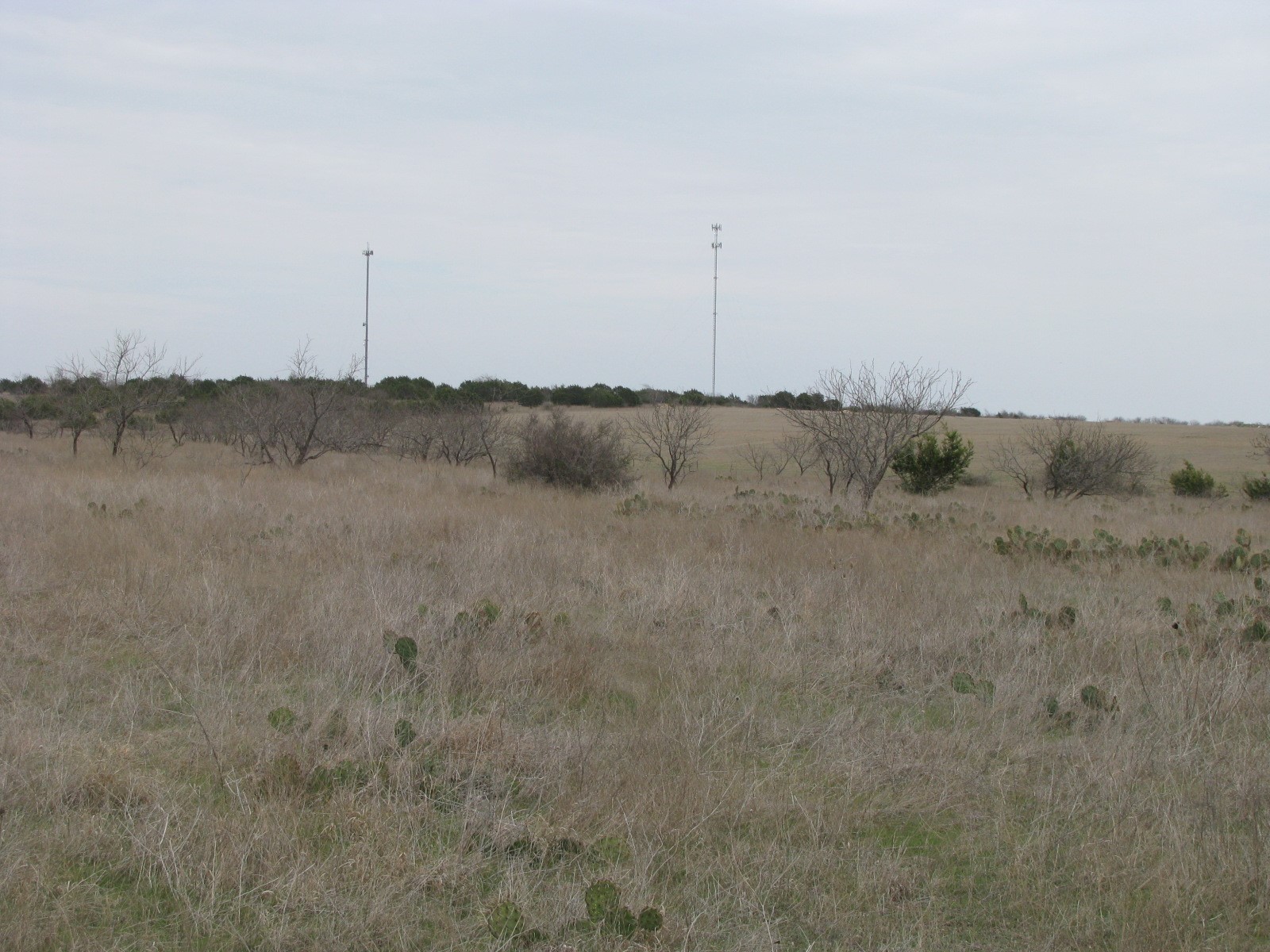 135 Acres Tbd Harmon Road Copperas Cove TX 76522