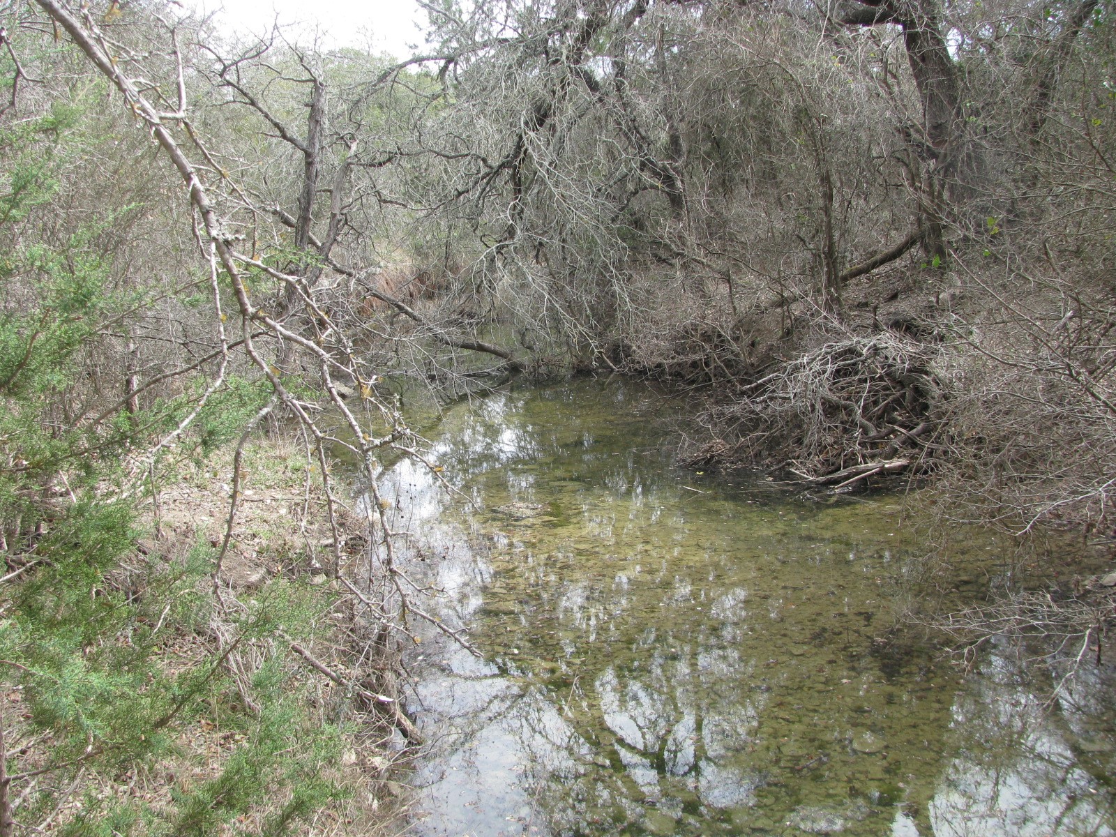 135 Acres Tbd Harmon Road Copperas Cove TX 76522