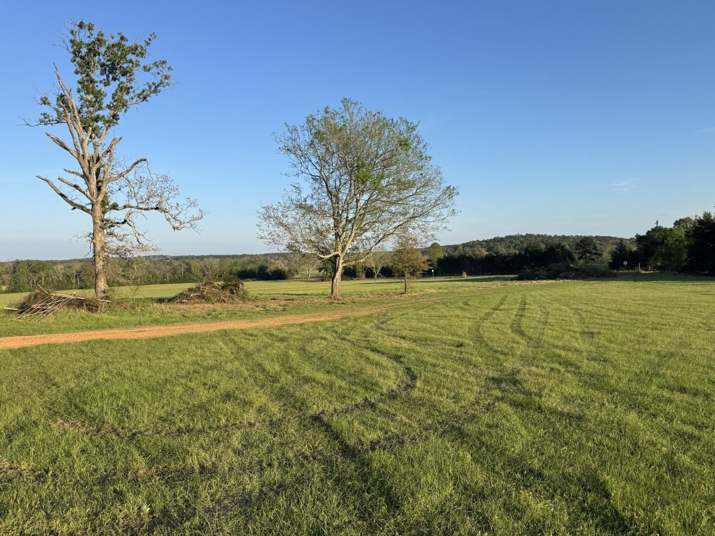 Tbd-a Fm 2867 Henderson TX 75654