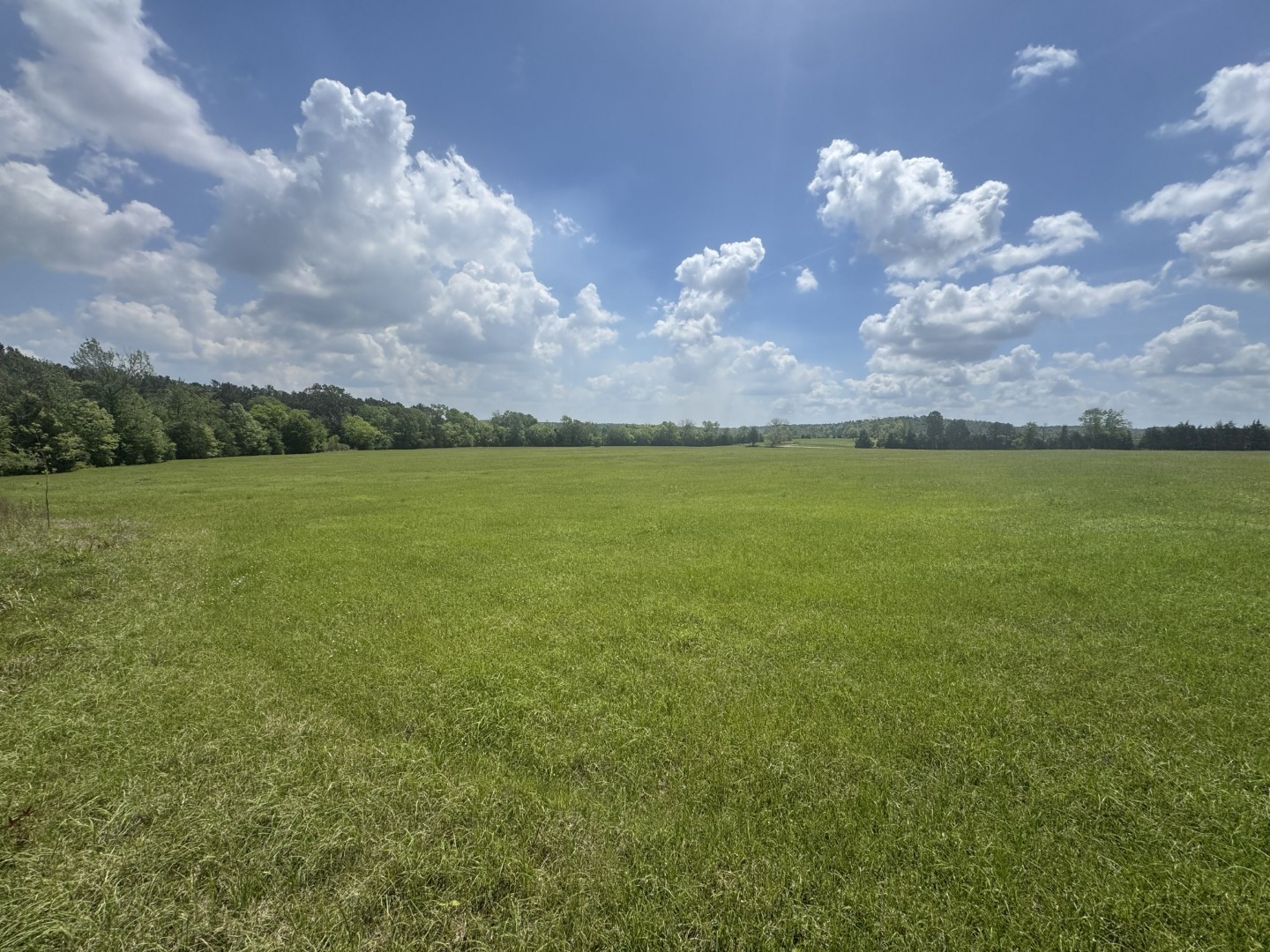 Tbd-a Fm 2867 Henderson TX 75654