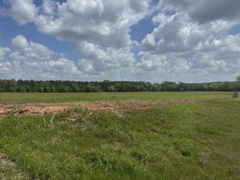 Tbd-a Fm 2867 Henderson TX 75654