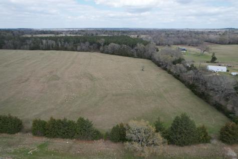 Tbd-a Fm 2867 Henderson TX 75654
