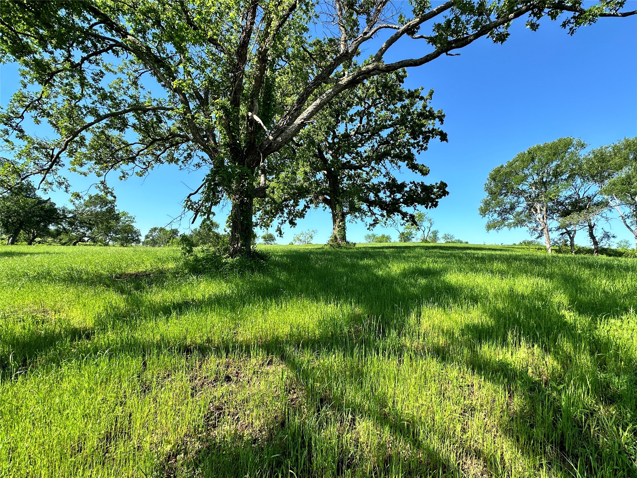Lot 53 Richland Court Corsicana TX 75109
