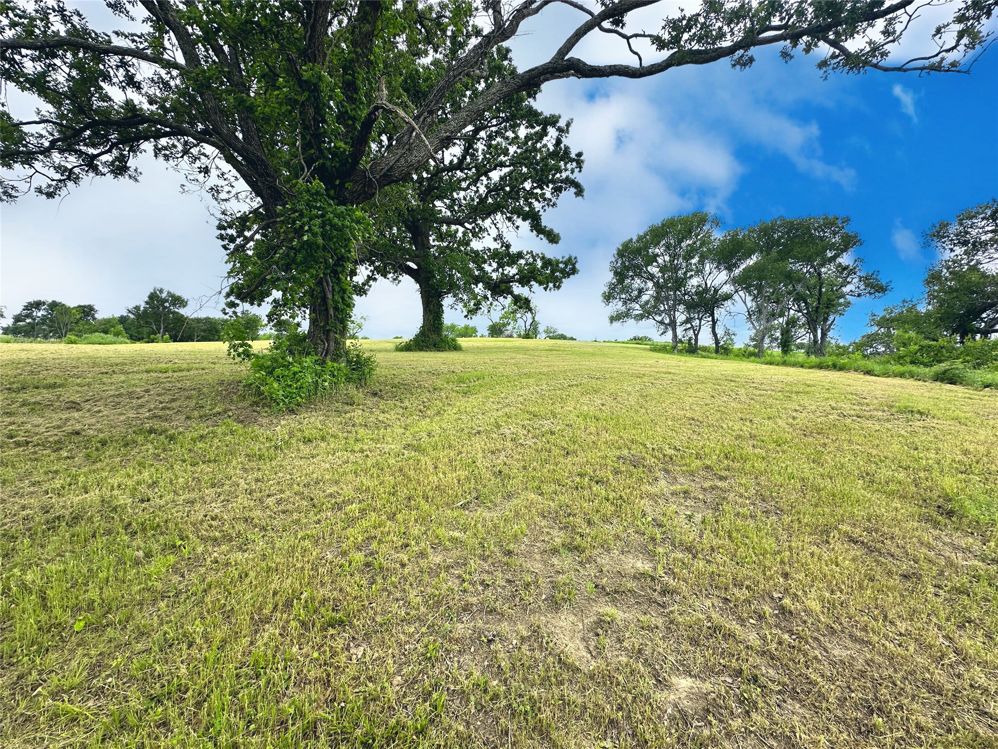 Lot 53 Richland Court Corsicana TX 75109
