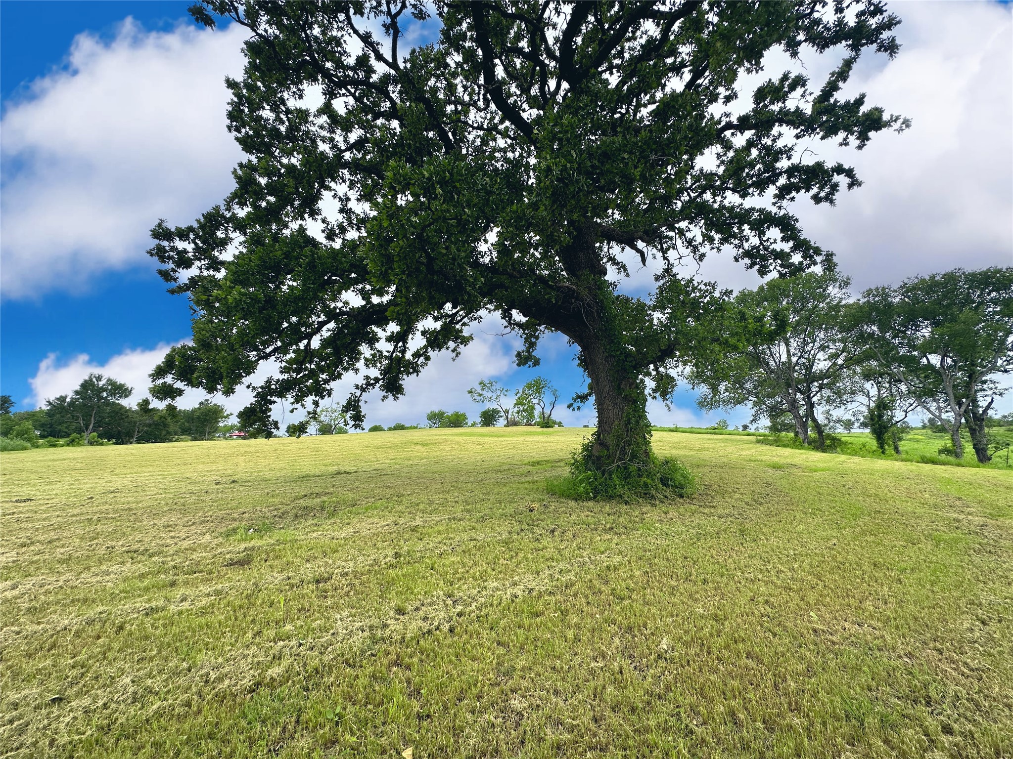 Lot 53 Richland Court Corsicana TX 75109