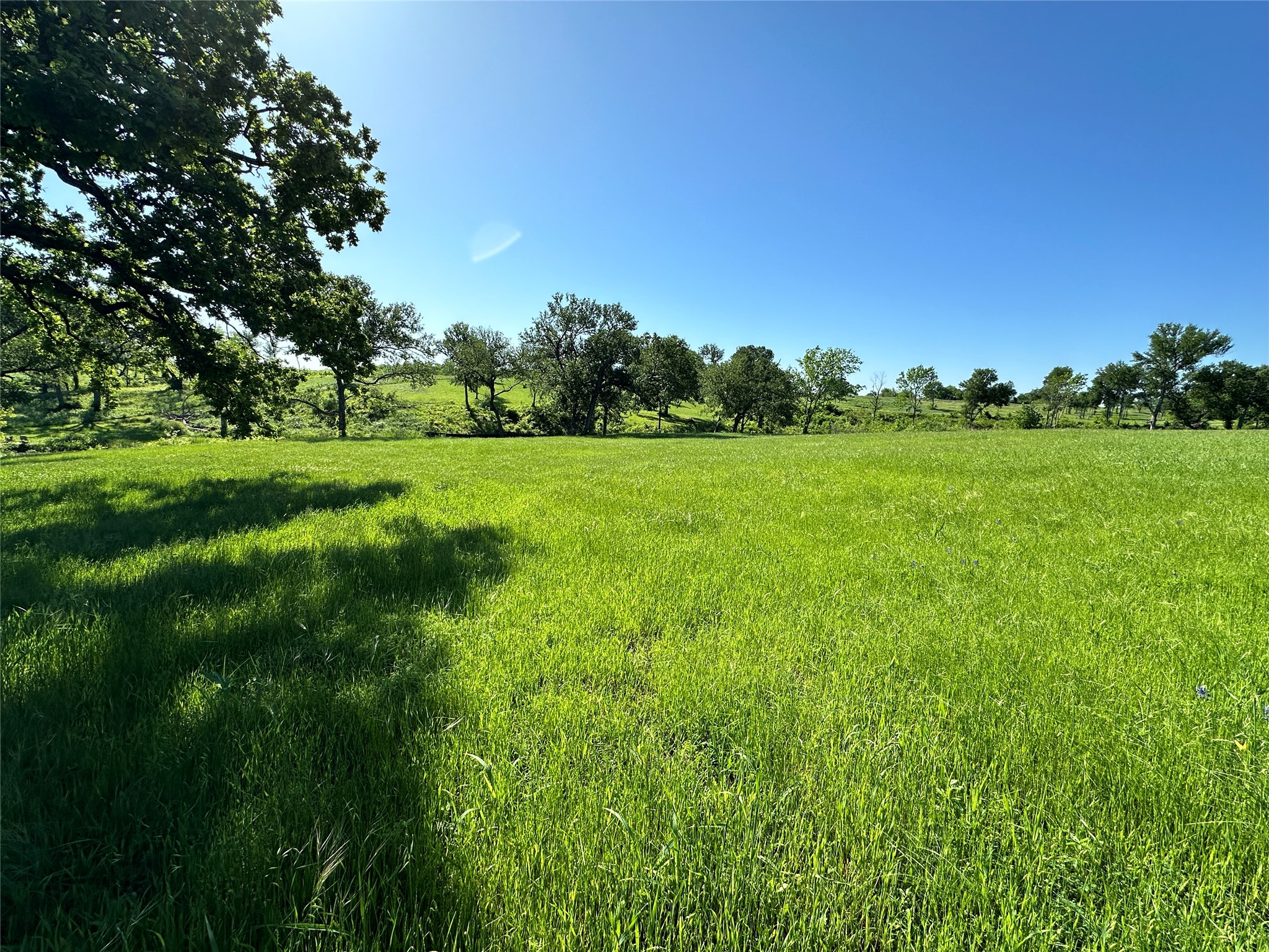 Lot 53 Richland Court Corsicana TX 75109