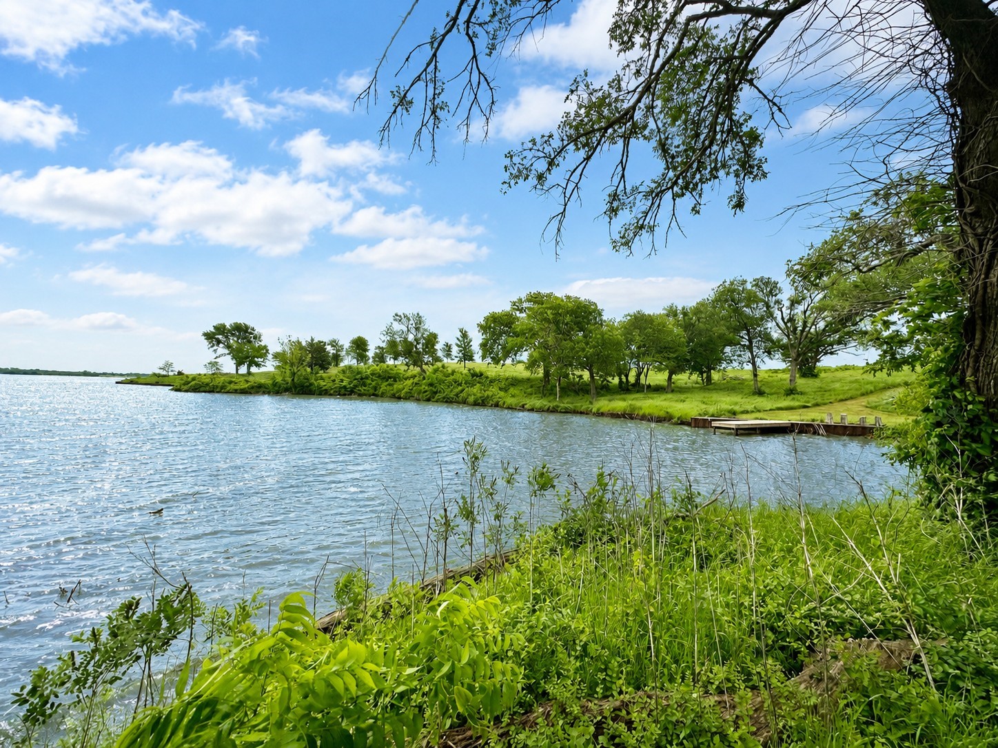 Lot 53 Richland Court Corsicana TX 75109