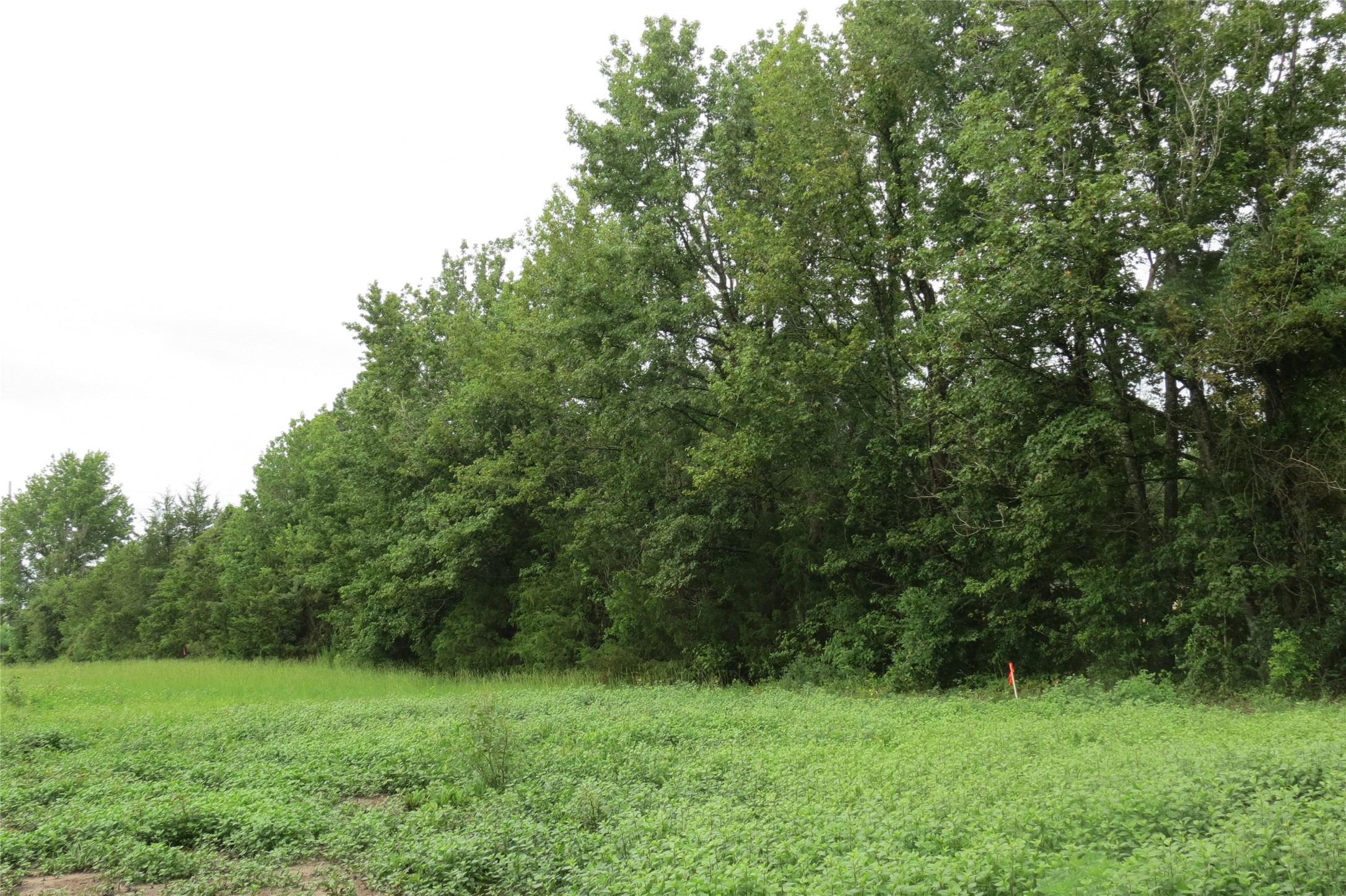 355 Cr 3204 Quitman TX 75783