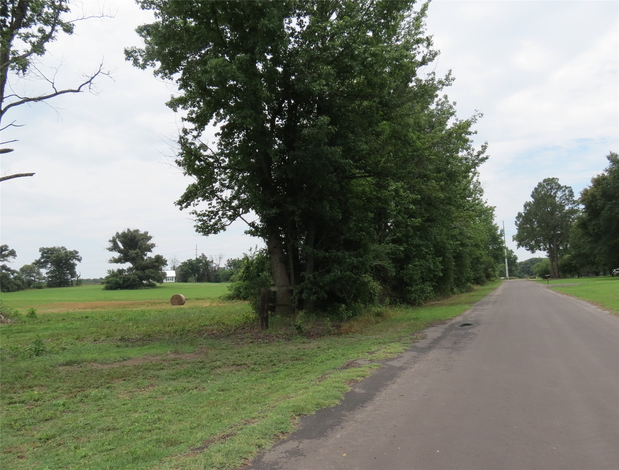 355 Cr 3204 Quitman TX 75783