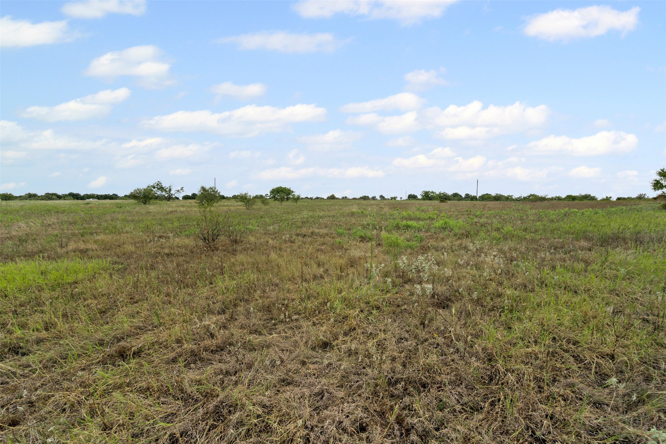 451 County Road 4975 Desdemona TX 76445