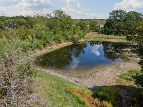 451 County Road 4975 Desdemona TX 76445
