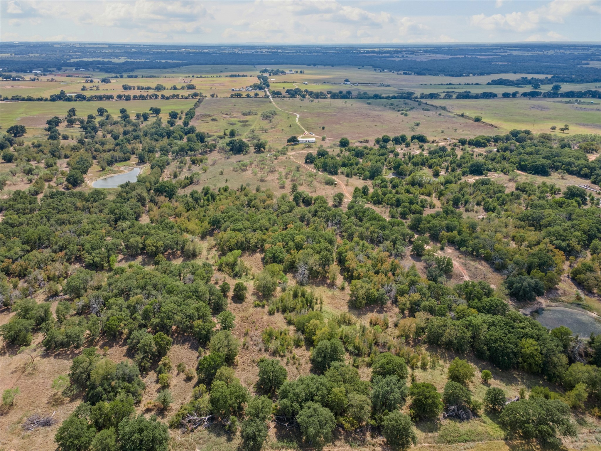 451 County Road 4975 Desdemona TX 76445