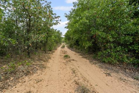 451 County Road 4975 Desdemona TX 76445