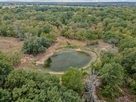 451 County Road 4975 Desdemona TX 76445